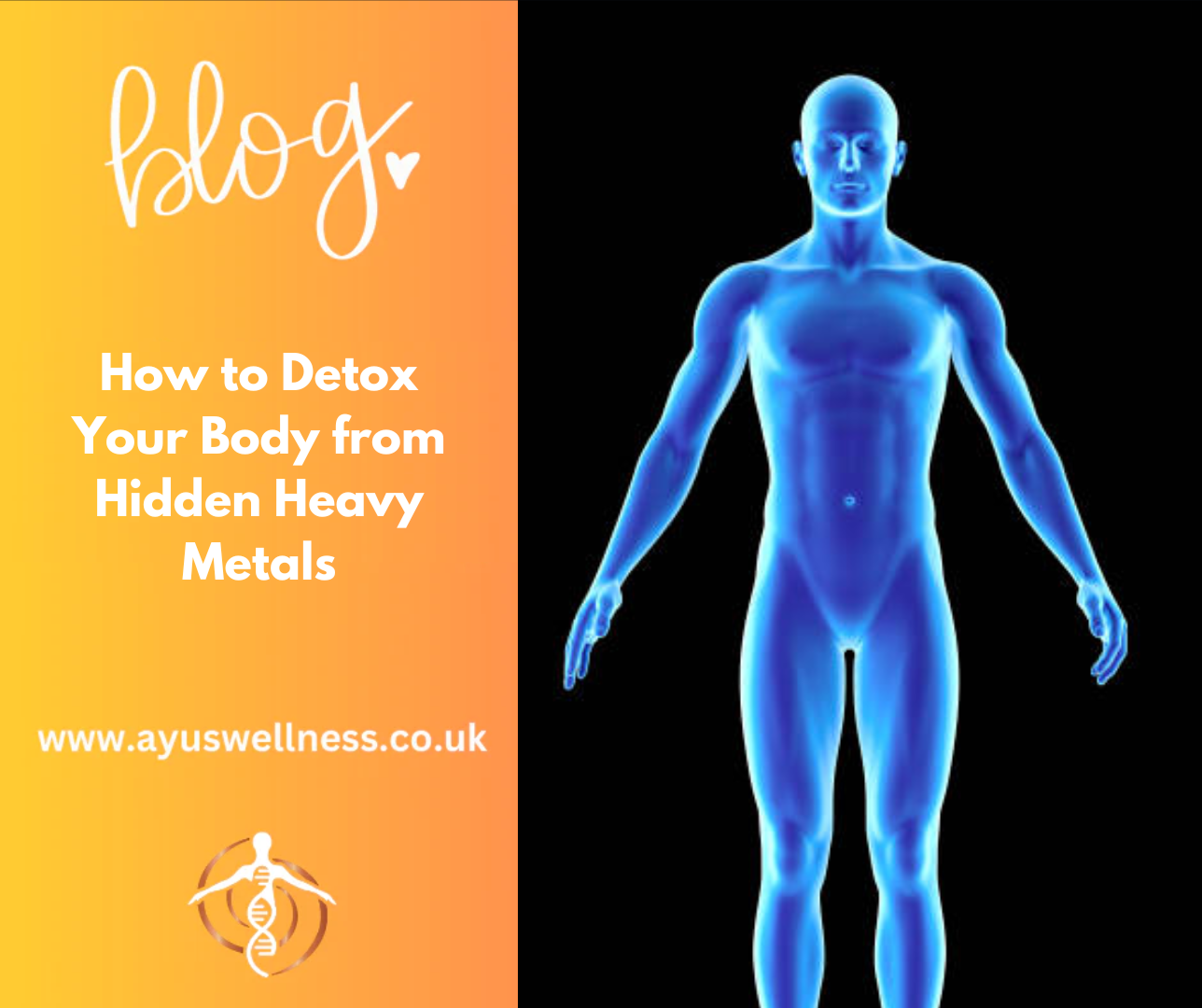How to Detox Your Body from Hidden Heavy Metals
