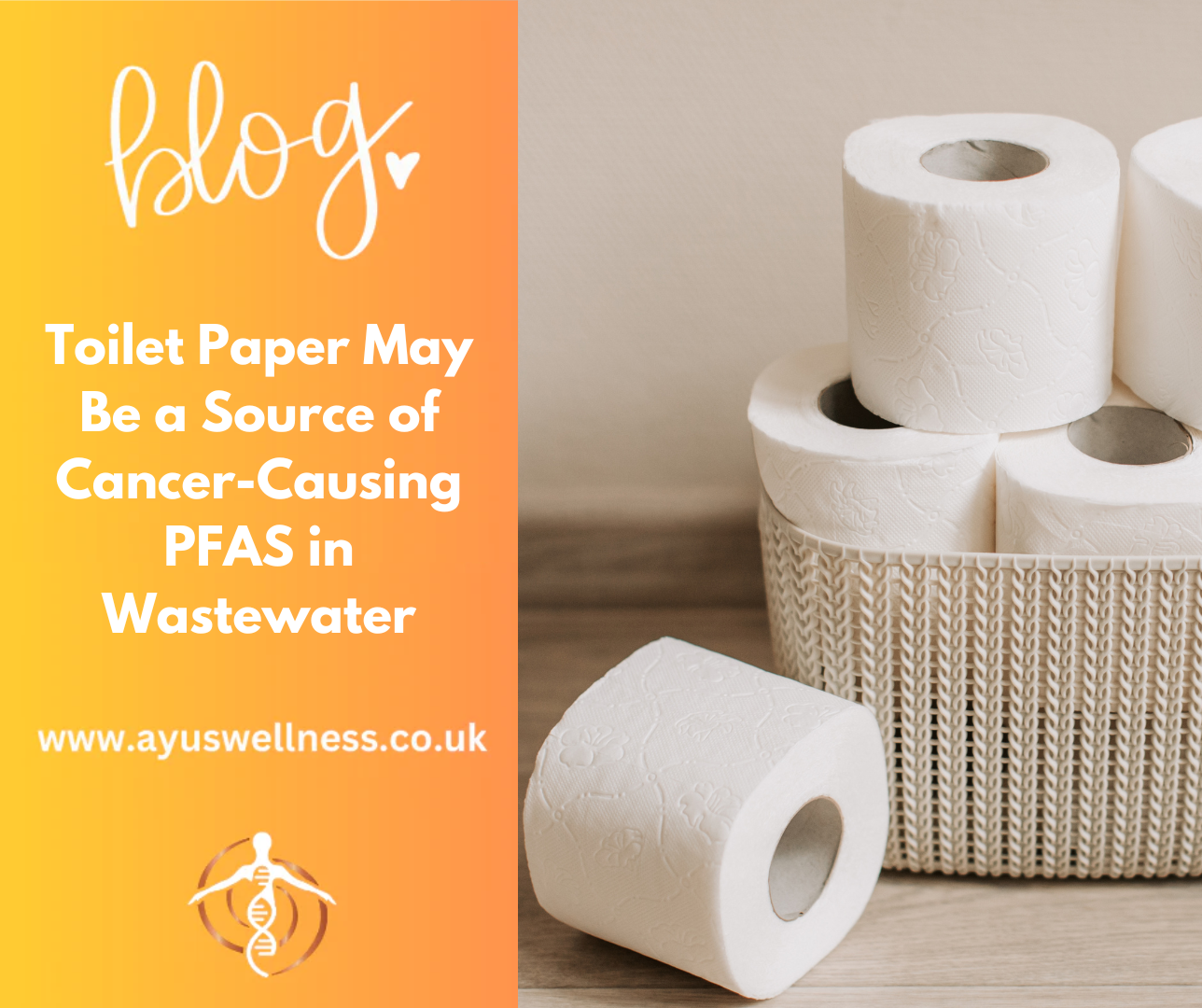 Toilet Paper May Be a Source of Cancer-Causing PFAS in Wastewater