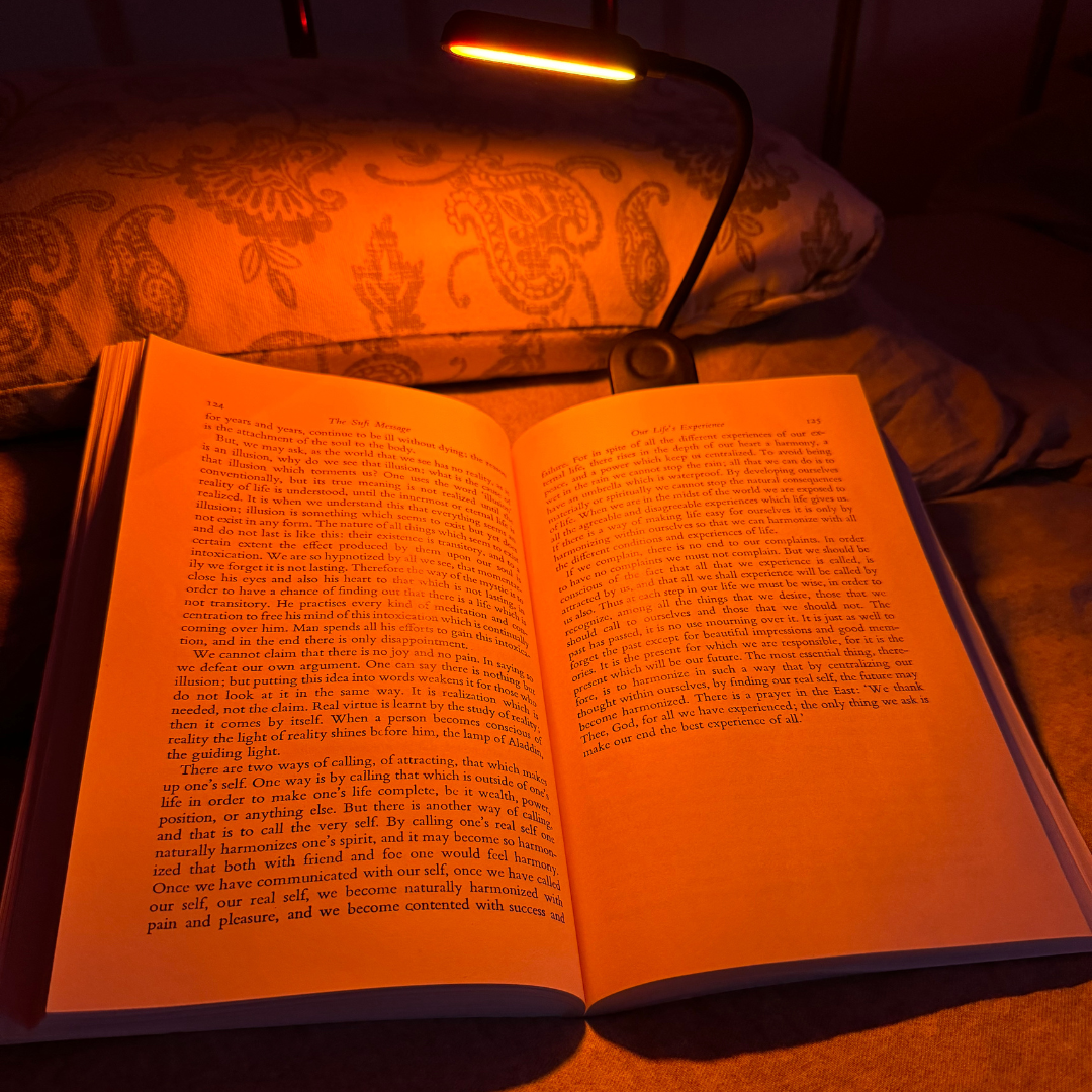 Blue Light Blocking Book Clip Lamp - 3-Mode