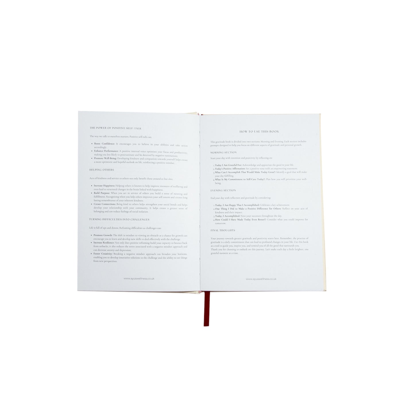 The Gratitude Journal