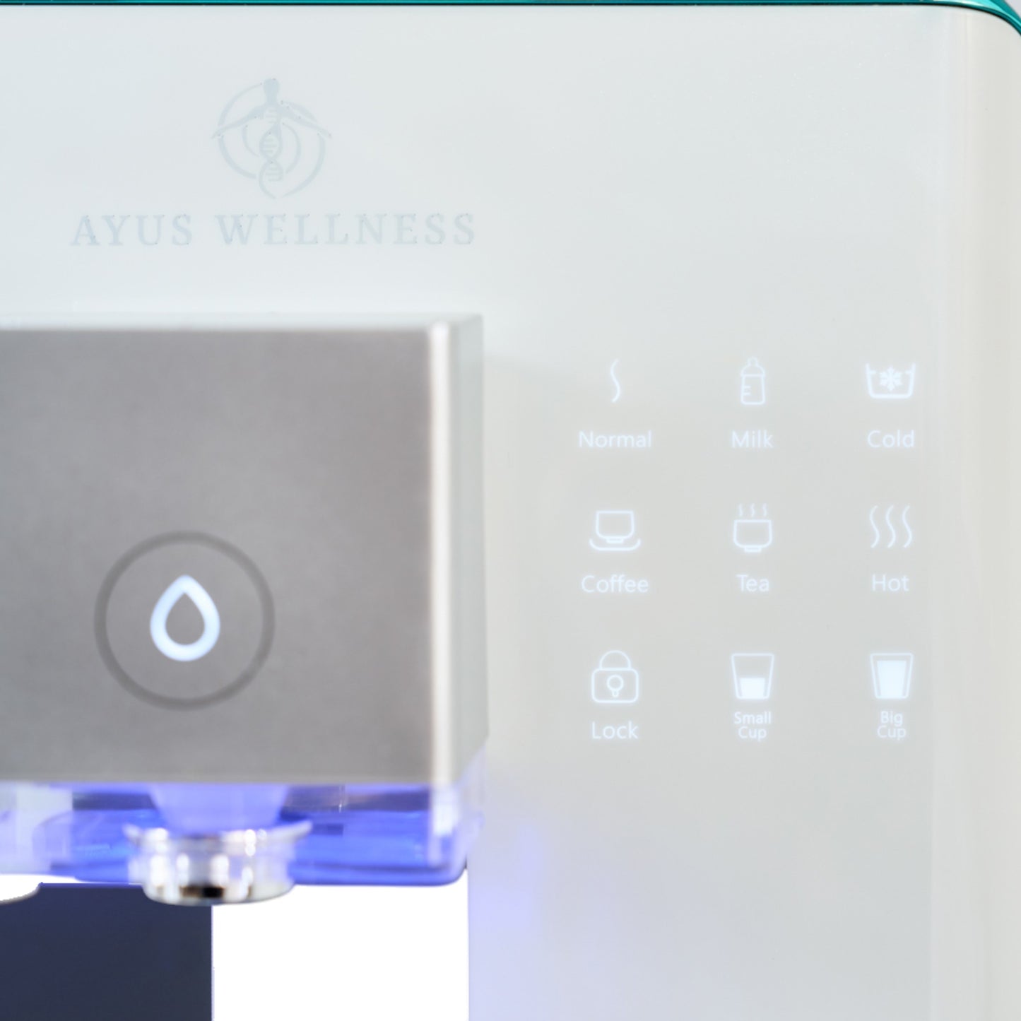 The Ultimate Water Purifier